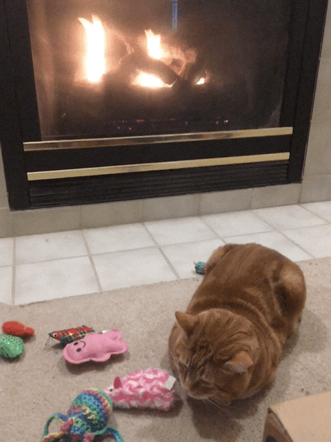 Scooby toys fireplace